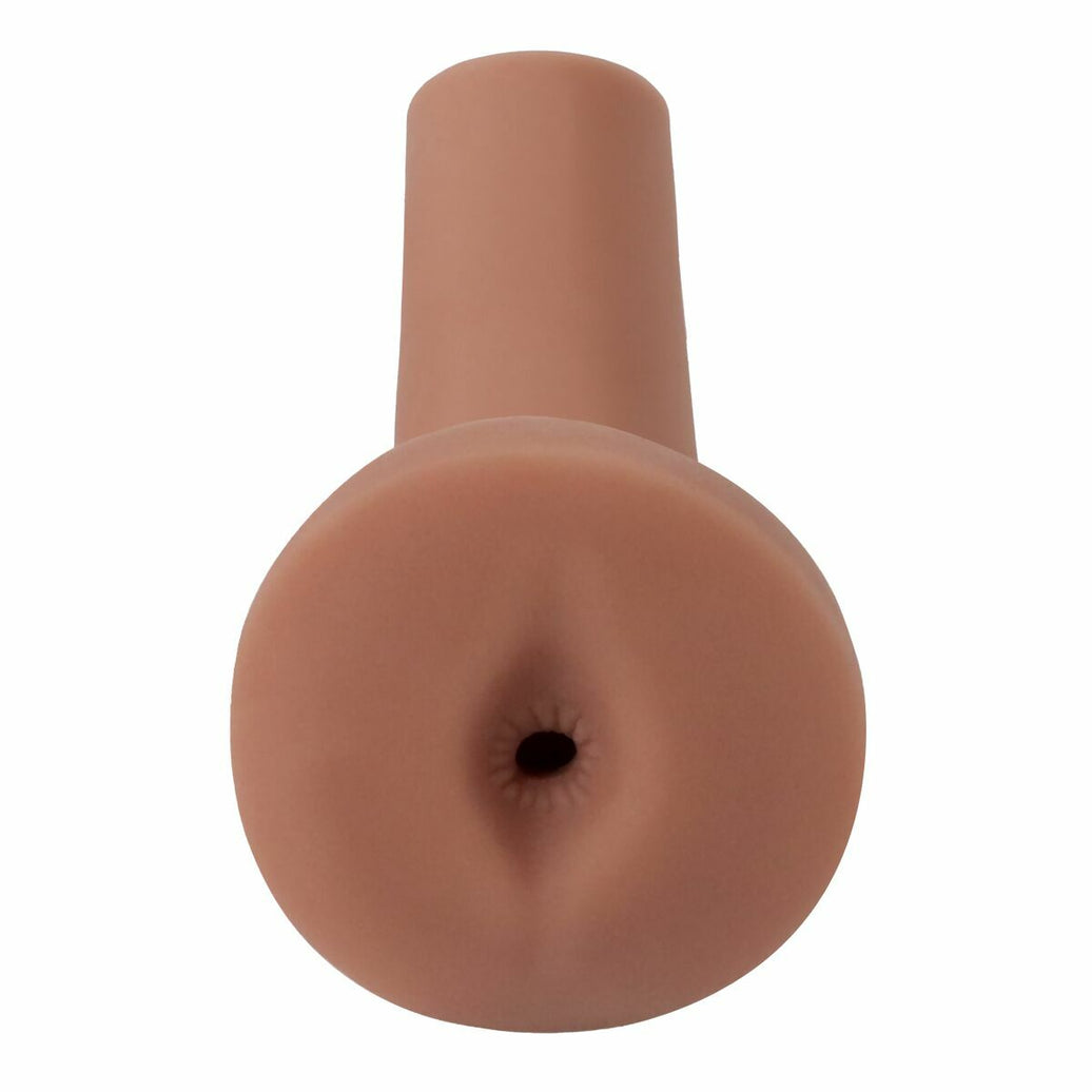 V4H8021B99B2029802FCA1256659A97A581R5116528P1