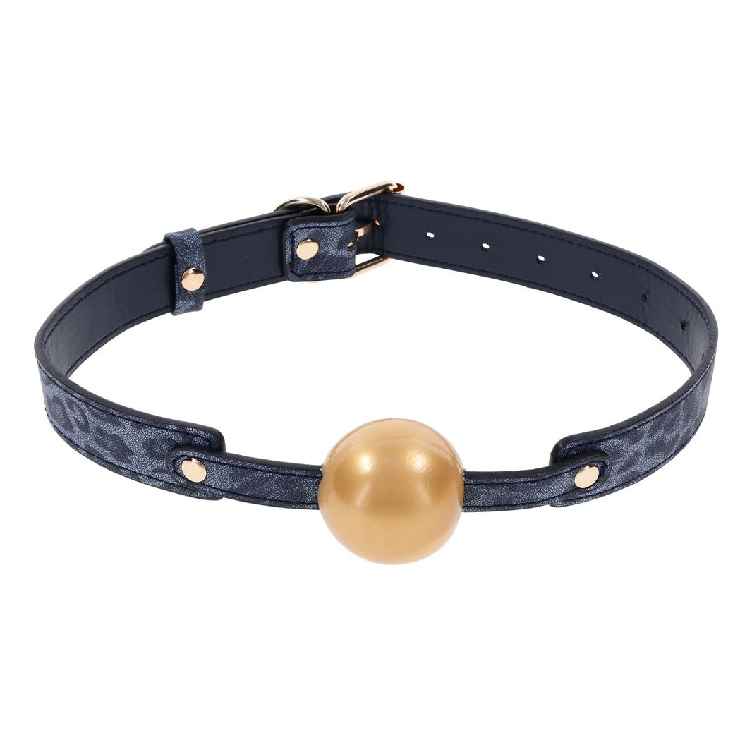 V5H571735181304FBBA313C5D1AEF07C0CDR5548135P1