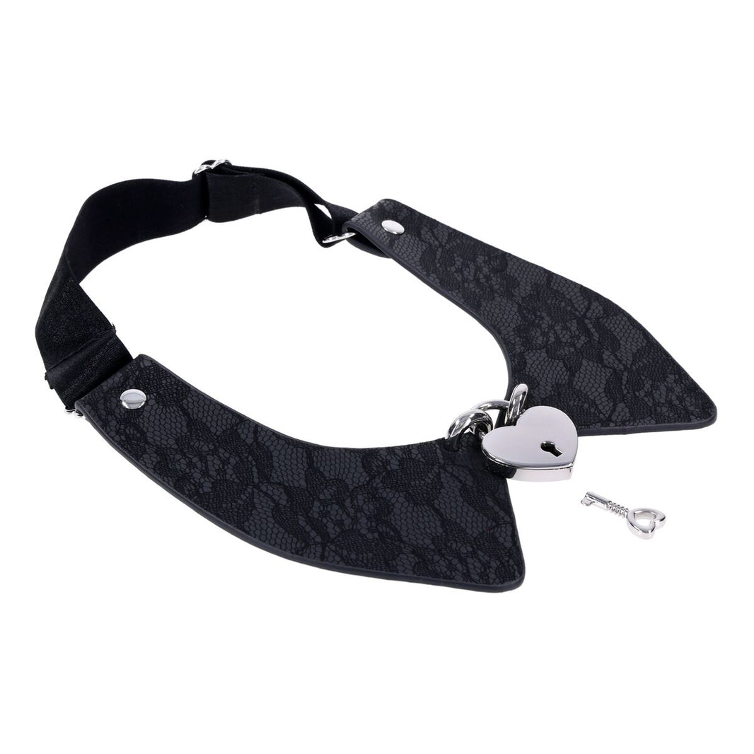 V4H7E87A48C6B4662DAB4F26C8A41CA2E3FR7217921P2