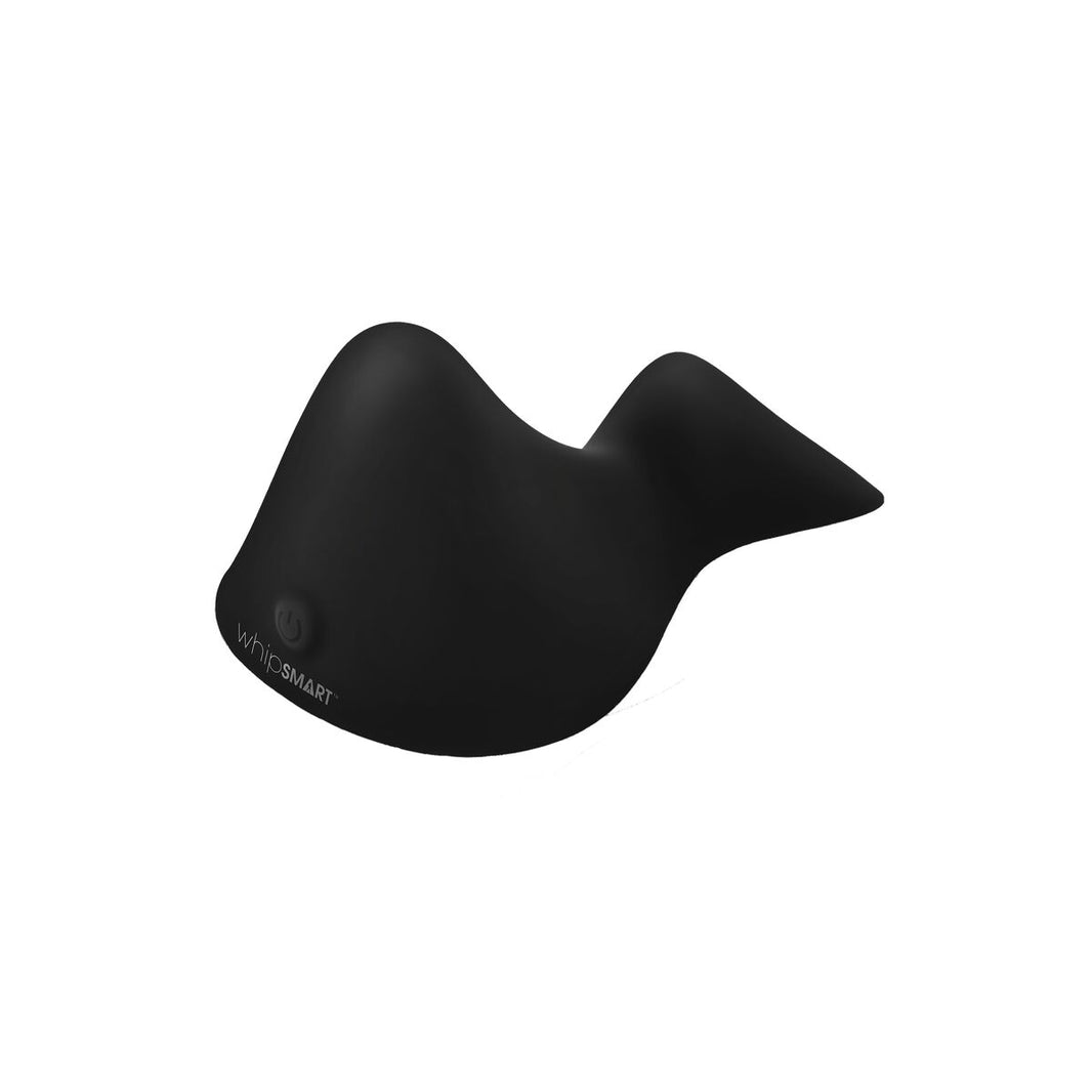 V2HBE65919CAF67024BAD53B588C97B6F5FR5583306P2