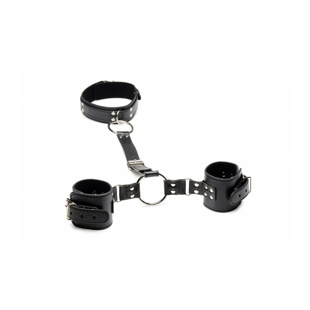 V6HD4E778921B1238E88687CD11E726133CR4679718P2