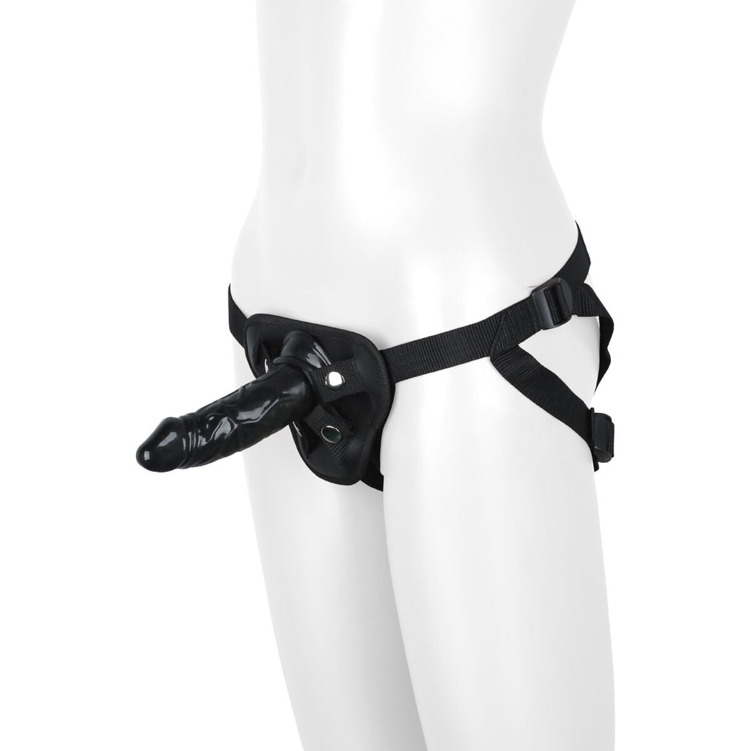 V4H219660D31ABED322BEE1F011A5B3BE1DR4916611P2