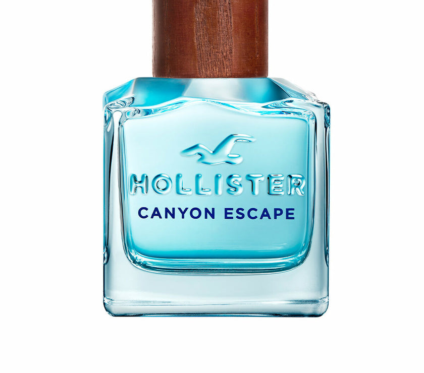 V15H8605A1C684AA9E8336E46B70E9D55C19R5534574P1