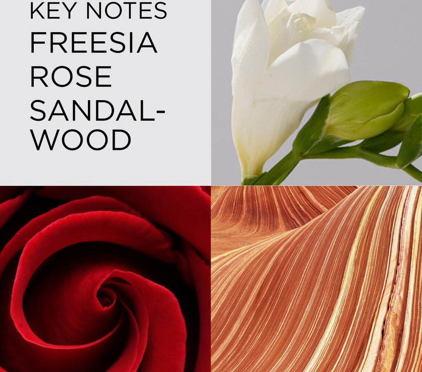 V3HA33F517ABD6433BD696DCE1F84841E46R7491246P6