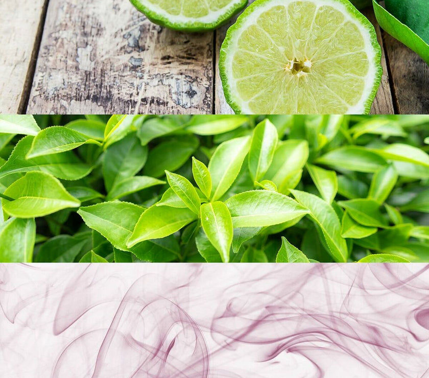 V12H5BCC7508FCB91BD2688409BE1CFC8407R3644007P5