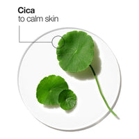 V16H42A85657CCC437D9C342E8CCFE9599BBR3255621P6