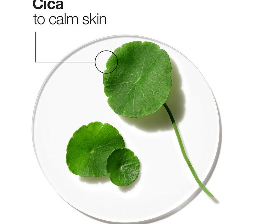 V15H42A85657CCC437D9C342E8CCFE9599BBR3255621P6