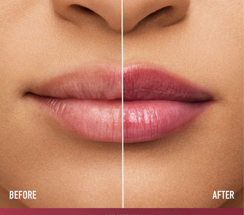 V4HCC3869AD93884D883B87A73B2474EA4DR6240009P2