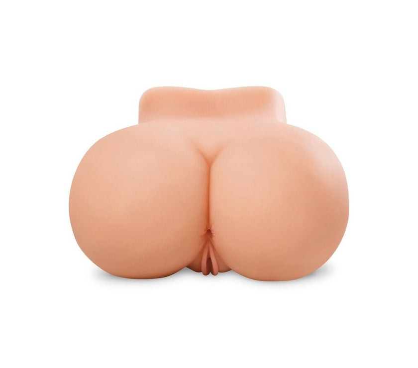 V4HD79F9AA23C2483D0F6F54AFB6ECE2372R5116256P4