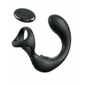 Anale Plug Pipedream