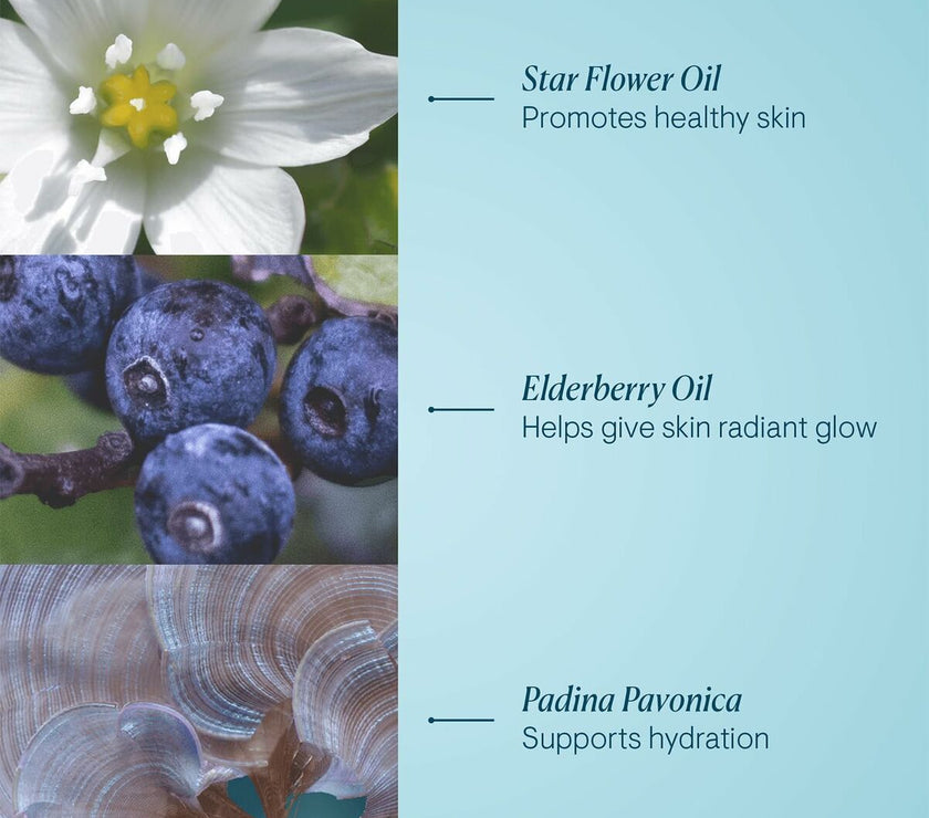 V4H56FFAFF729A080EF3C671D3D912FAE81R7072815P3