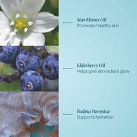 V4H56FFAFF729A080EF3C671D3D912FAE81R7072815P3