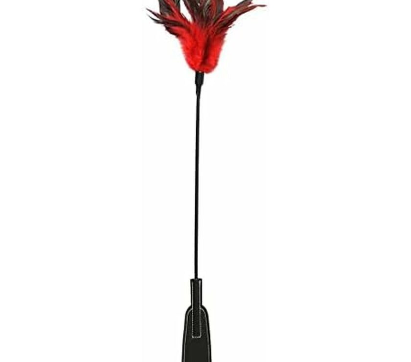 V3H29D85D3F6BA6FBA5A4427FB21FDA6AECR5796830P3