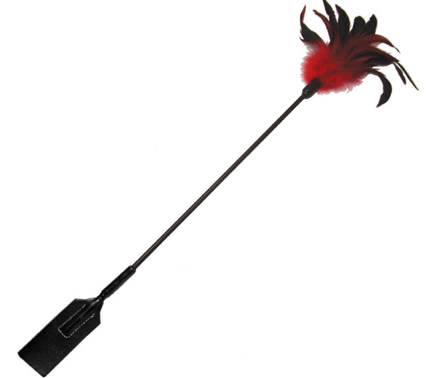 V3H2F3BEC49DBAEA384A85699C3A25A2CB7R5796835P4