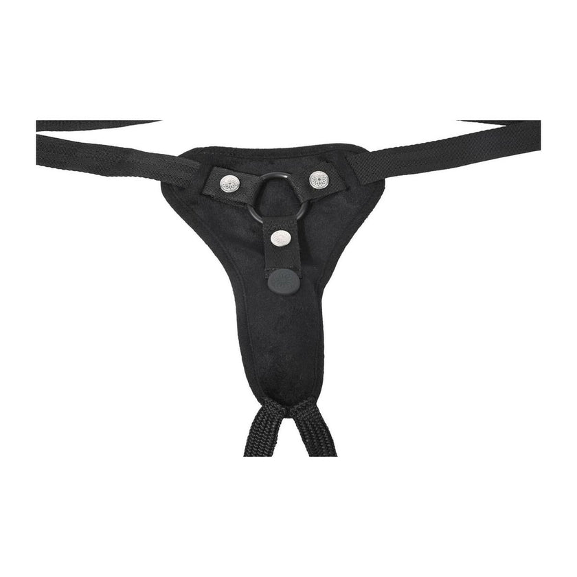 V4H01452C12ABEE078E69CEA1B5B7B33E14R5800092P2