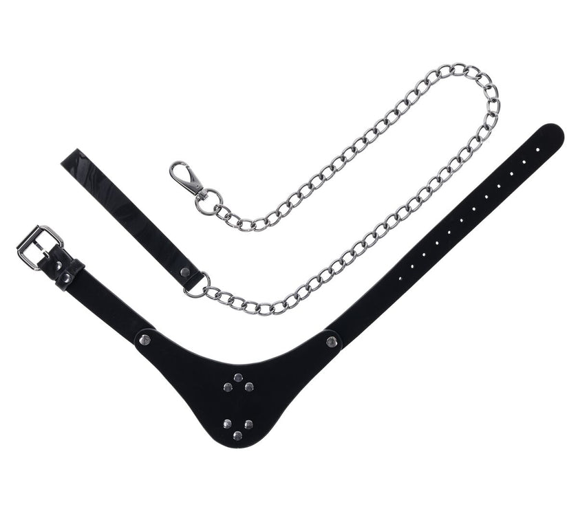 V3H06858E5D1D0910CB792540754466D085R5679059P10