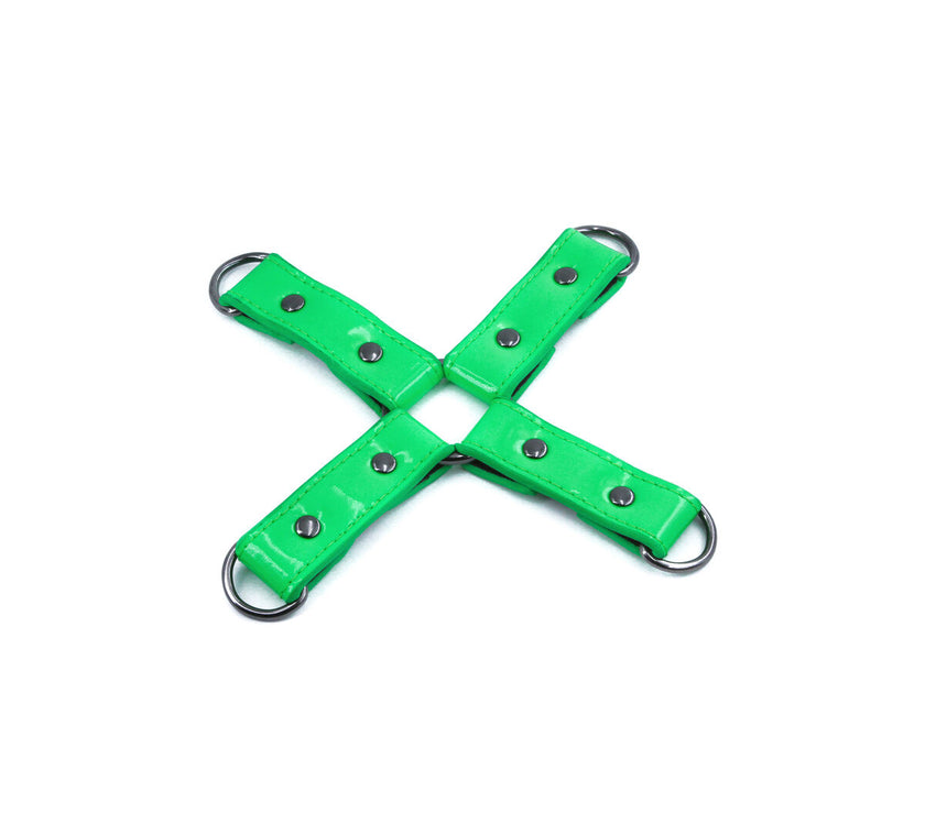 V5H738D99D8C4C93E8EDC1B40890328F9FDR4916670P1