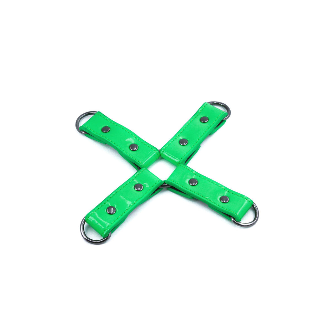 V5H738D99D8C4C93E8EDC1B40890328F9FDR4916670P1