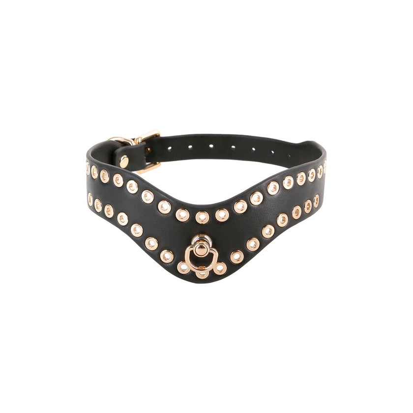 V4H135139780F7CB2C189BA92265A688DBDR5103113P2