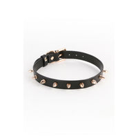 V6H0B10019BE054DECA19ADCAAEF8C0B47BR5103191P1