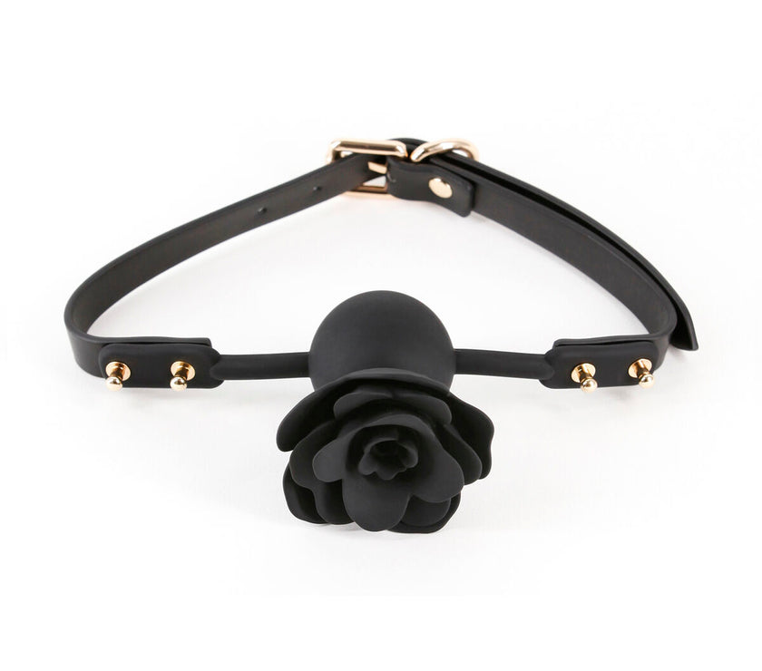 V5H8E91059F8FF027C1286A80DFCFE45EAFR5116636P1