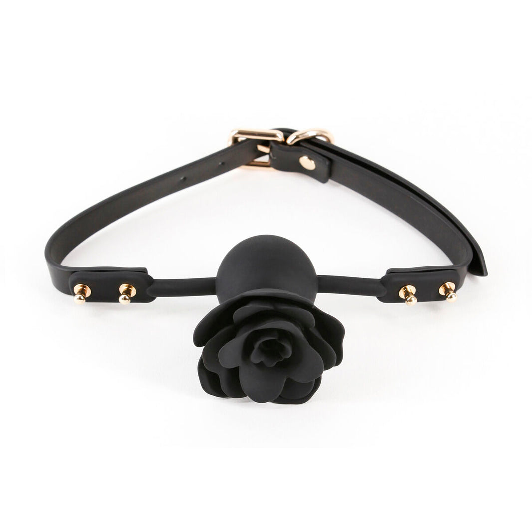 V5H8E91059F8FF027C1286A80DFCFE45EAFR5116636P1