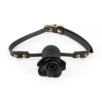 V5H8E91059F8FF027C1286A80DFCFE45EAFR5116636P1