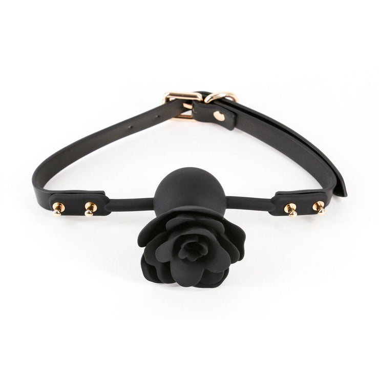 V4H8E91059F8FF027C1286A80DFCFE45EAFR5116636P1