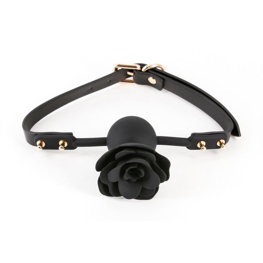 V6H8E91059F8FF027C1286A80DFCFE45EAFR5116636P1