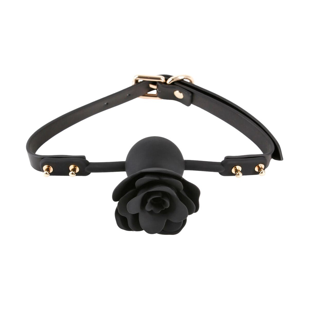 V6HCE44F4CB6949041637220C51053F8CDBR5116638P2