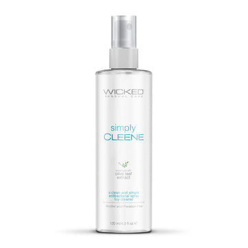 Sex Toy Reiniger Wicked Sensual Care 120 ml