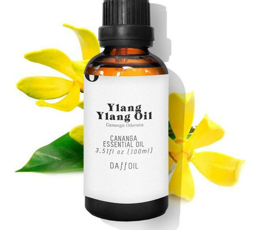 V9H99B034A8B67B191E9BC580295E41C6CCR7500531P1