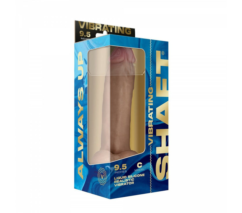 V4H1325B68FC622F49F458F62EB343546D0R4656820P2