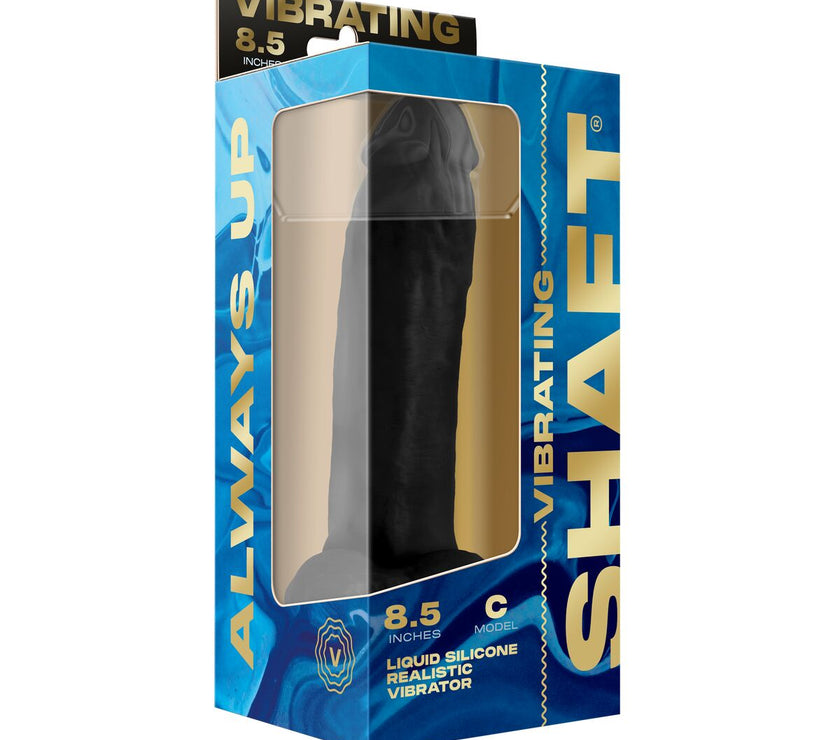 V2H29496830E9221D46907307761E74DE81R7213361P4