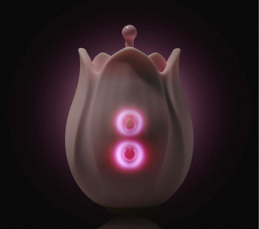 V3HA028E20E2EE1BFA89E0B193B262D38F8R5584141P8