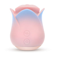 V2H6BDC790C937E47F45B5619E92FE97A94R7506018P6