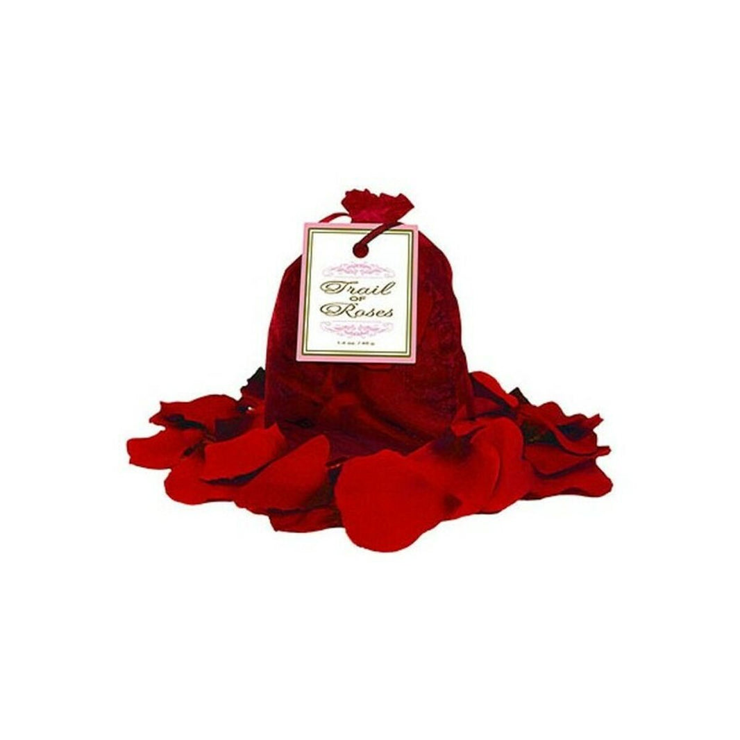 V9HBC24B635230E888399B546E0D50A784DR4210471P1