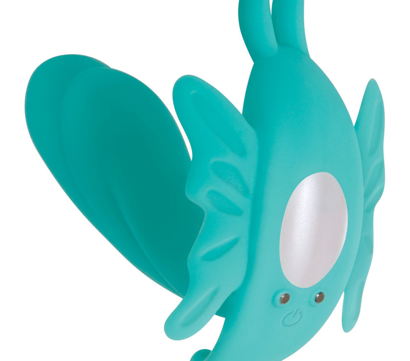 V4H35A9B0058D5265D9C2B779697D9ED326R4915919P3