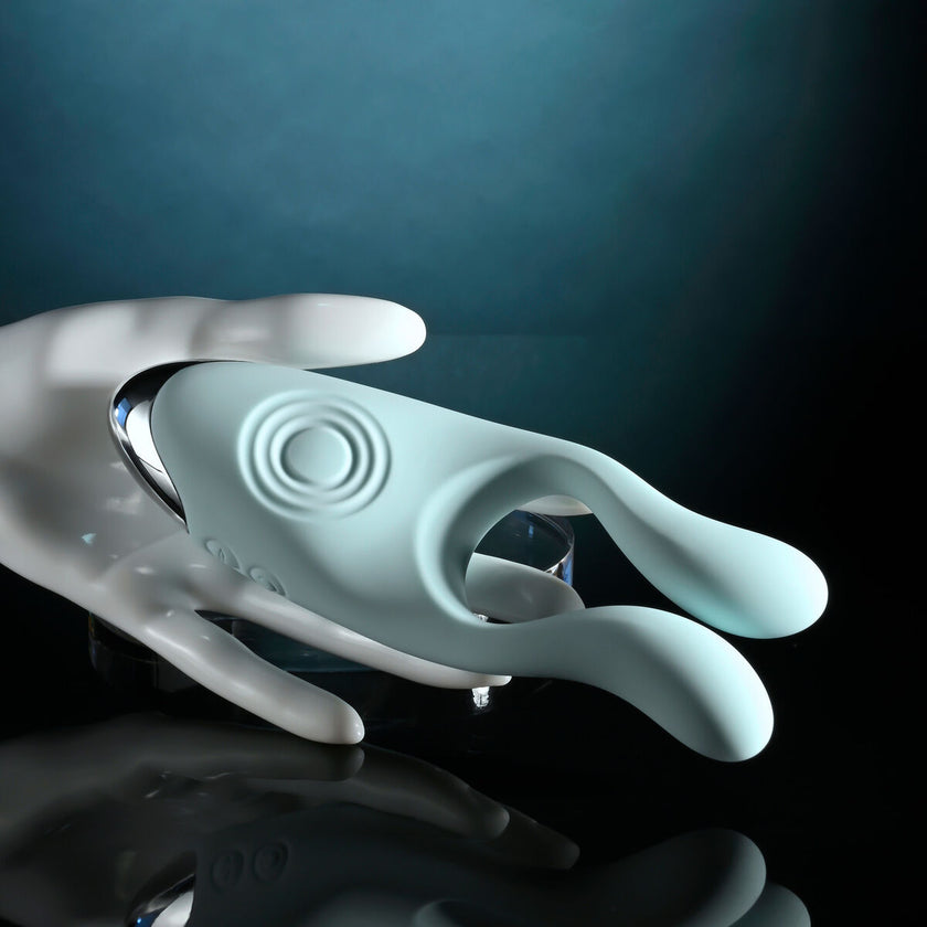 V5H3FBC913C395CDED354FF76B361A1B136R5590498P10