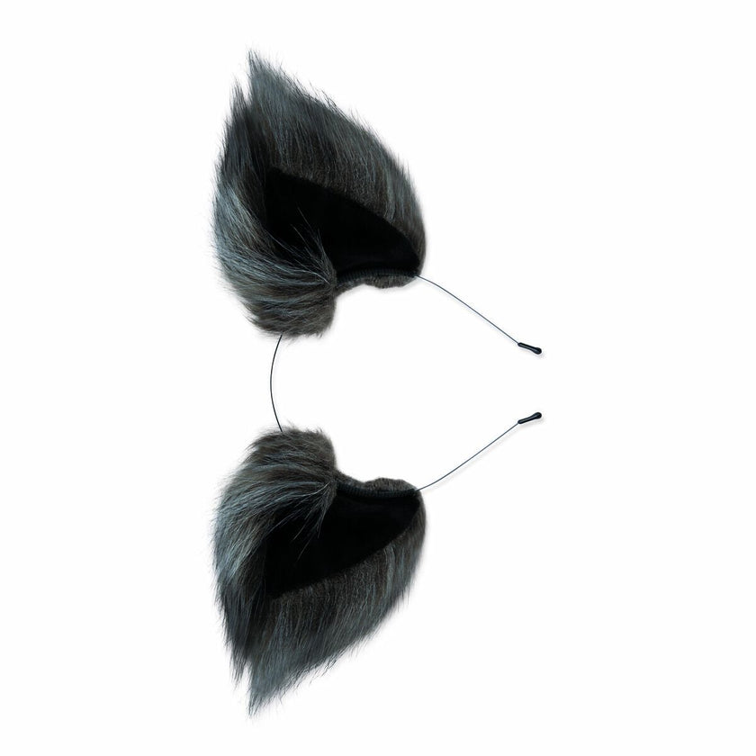 V6H5EC0AB2BC093FAFA3061BD1B4DAF0297R4785535P3