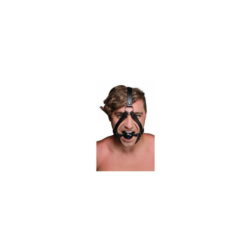 V6H3EAF752958112302DF9D388C117A3F10R4676634P1