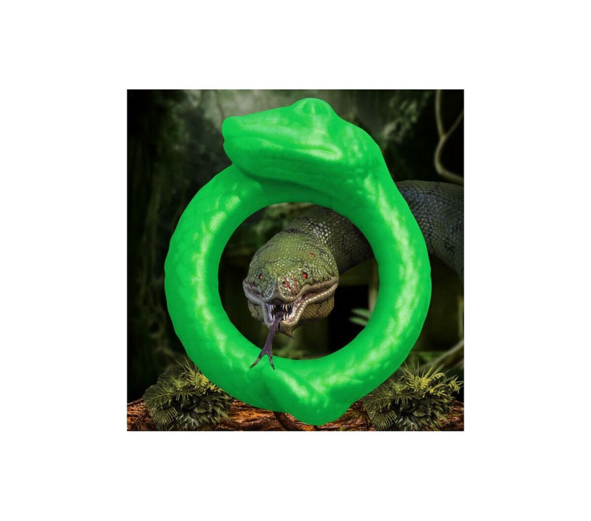 V5H3CC8981A66BF22E2A1CA3C2AB4BDFD95R5369513P1