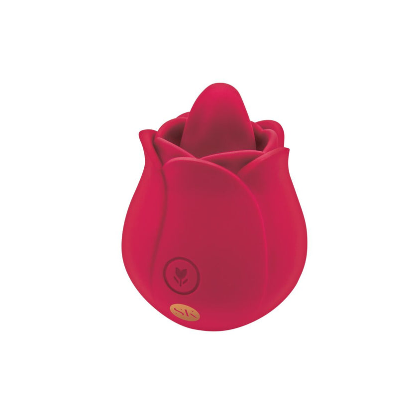 V6H71F3A66138ADEF58DB389580C4F61F9ER5118763P1