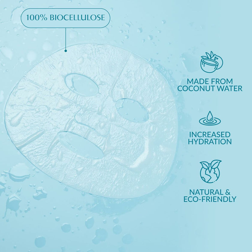 V3H3132FA337C2BDB7244CA45CE0EE249FBR7201876P6