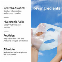 V3H2CDD50951ED1376DB74EAD22F0038739R7202313P5