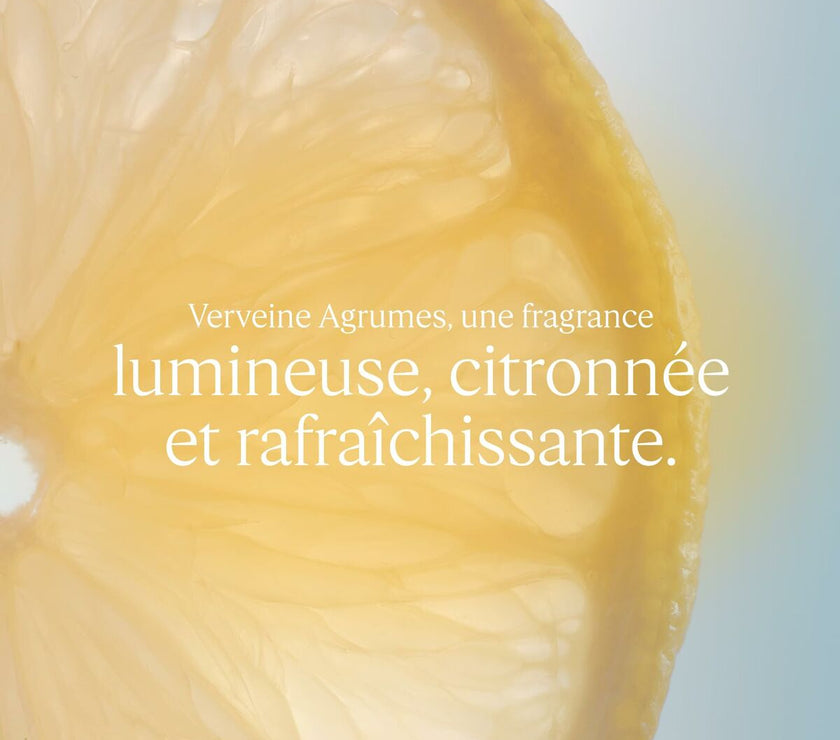 V4H26E9C2DED6D7A24F1D15F81E57B605E5R6237763P2