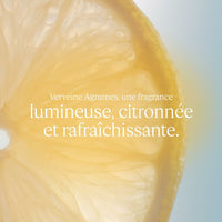 V2H56EAE7D85B7EA2A78CCEED53112E7B1AR6237763P2