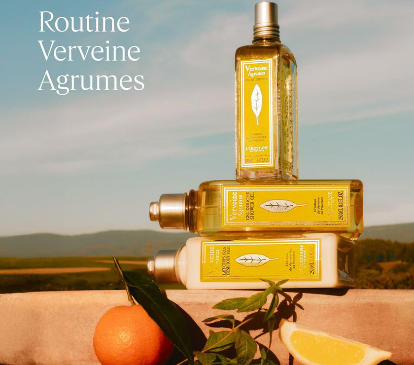 V4HE37B6BDBB2D2F53E96A1914B129EA780R6237765P4