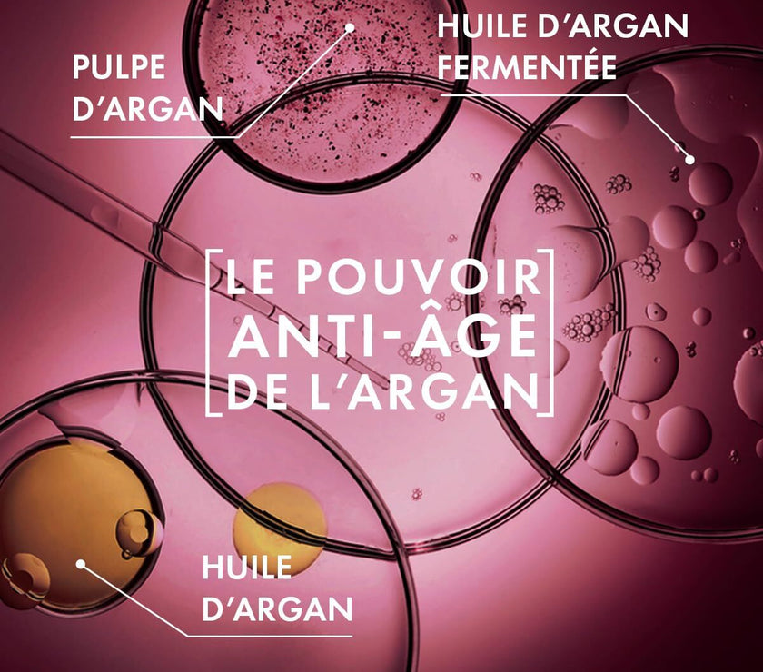 V3HA8E9EC1AD62E983CC9496DDA535D436BR7424958P4