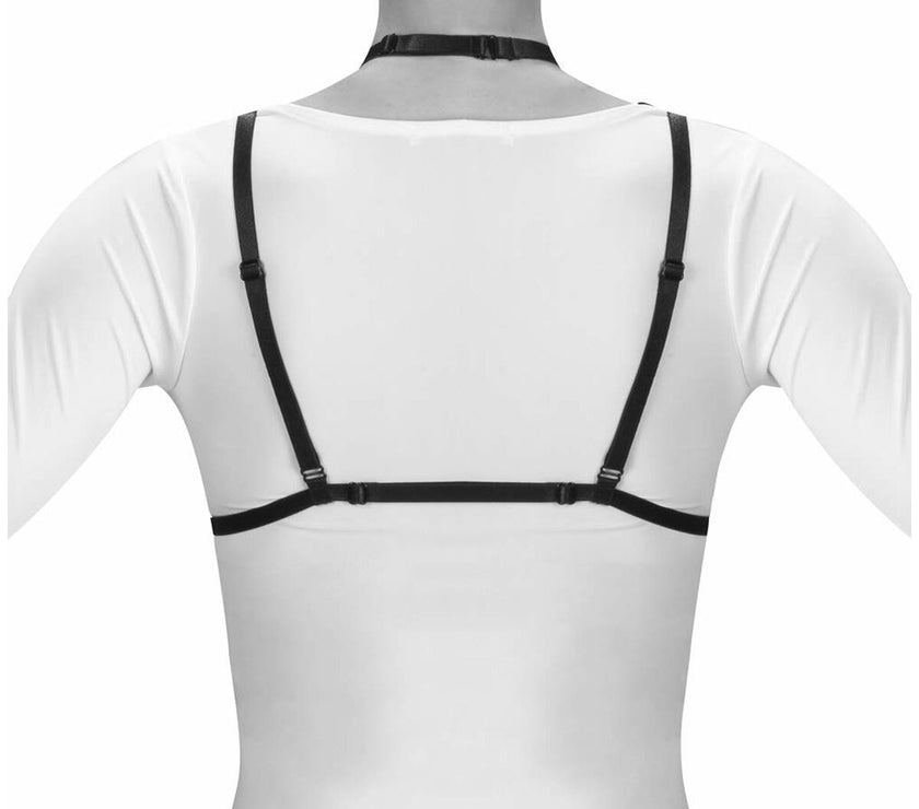 V4HE661FA531E52CA2F53952BED53A08A93R4672528P6